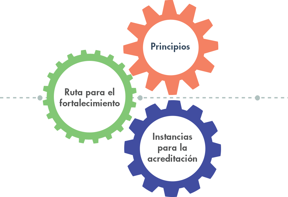 Agentes: Principios, Ruta para el fortalecimiento, Instancias para la acreditación